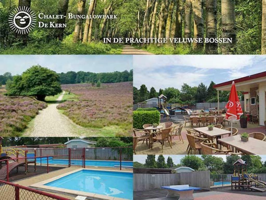 Traum-Chalet für Urlauber in Putten an der Veluwe Krachtighuizerkern 22&free Bikes Exterior foto